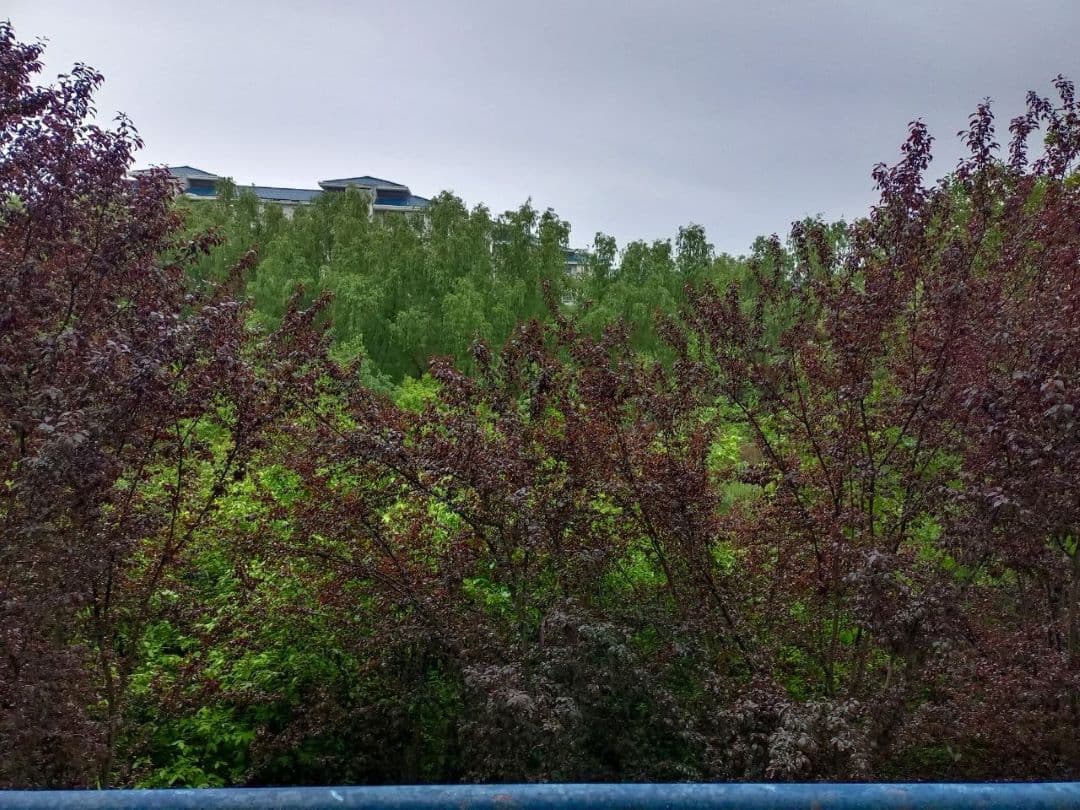 南晓树蕙苑13栋204c阳台风光-天快要下雨了